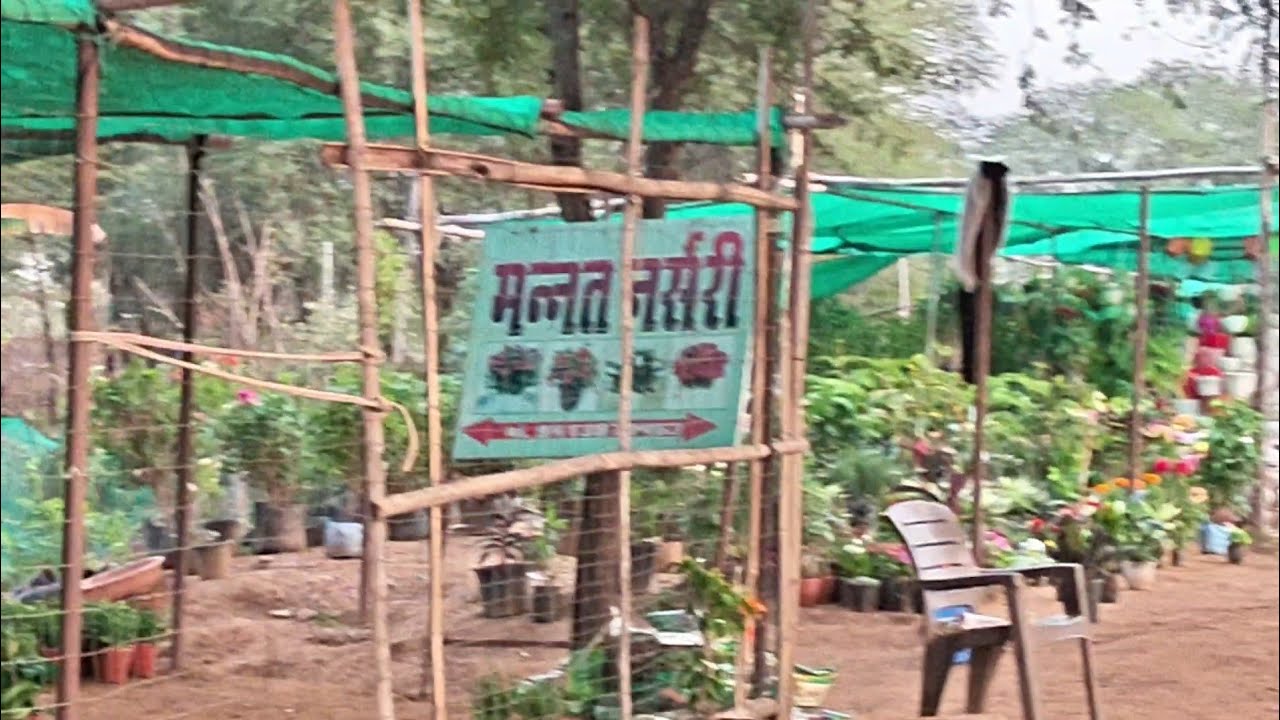 AAP LOGON NE YAH MACHHI KABHI DEKHI NAHIN HOGI ACCHI TARIKE SE DEKHO 💔