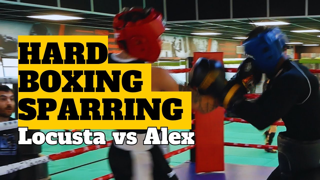 LOCUSTA VS ALEX - Sparring duro di Locusta con un pugile congolese più esperto