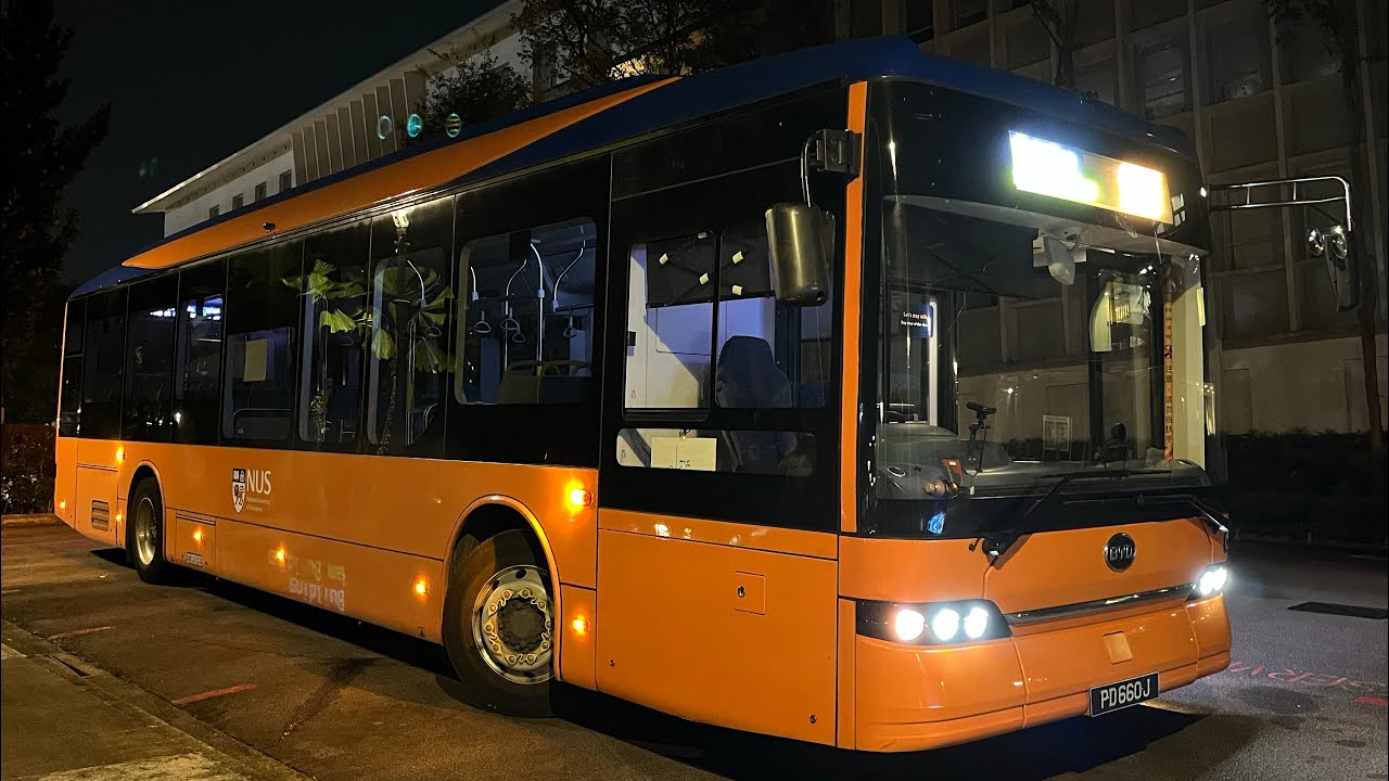 BYD B12A03 (BEV)