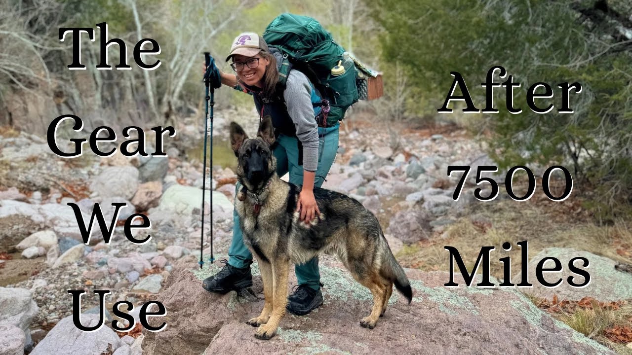 My Dog Backpacking Gear: Minimalist, Practical, and Pup-Approved