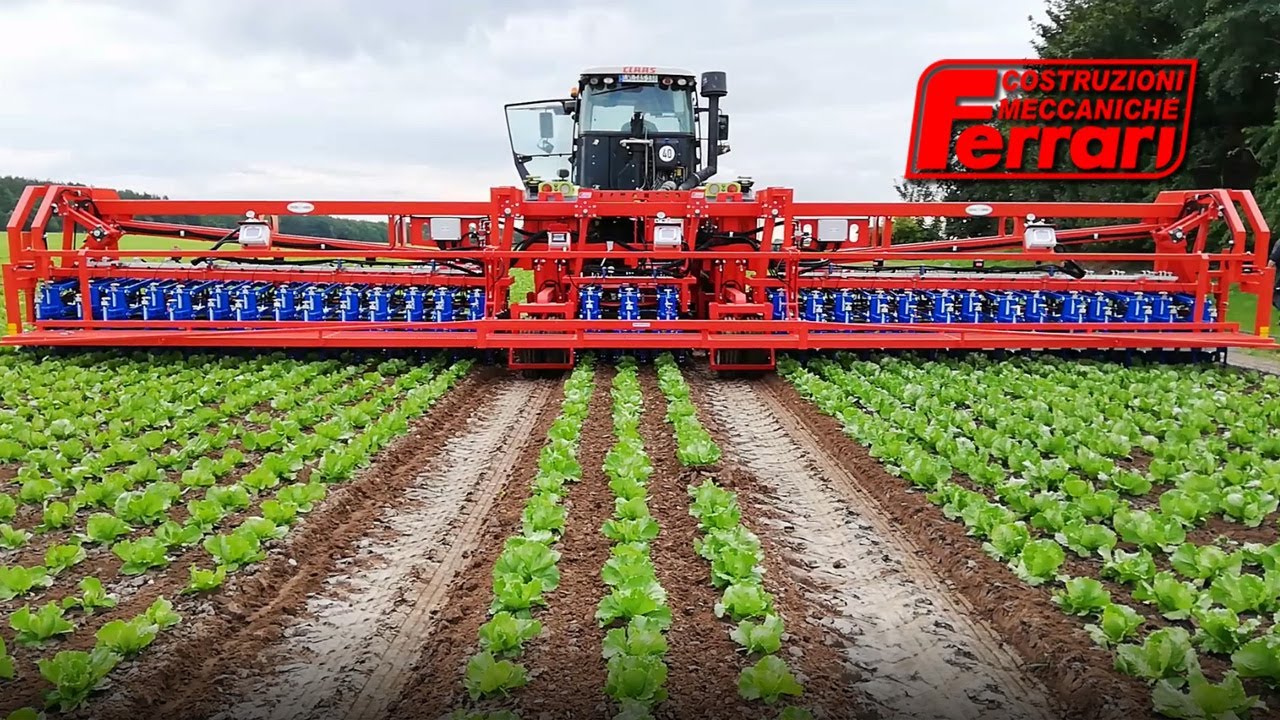 Ferrari Remoweed: the Automatic Hoe that eliminate weeds