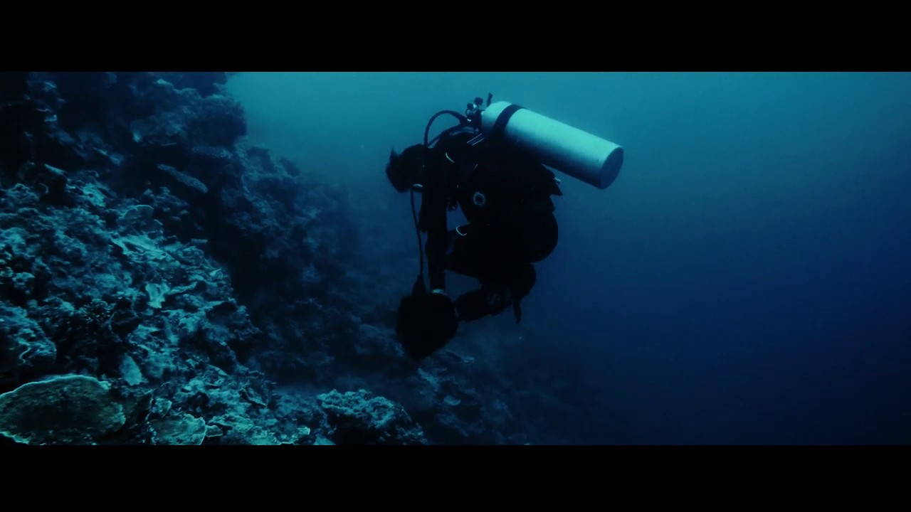 MantaWatch Internship Program 2019 - Williem Hartono - Universitas Padjadjaran