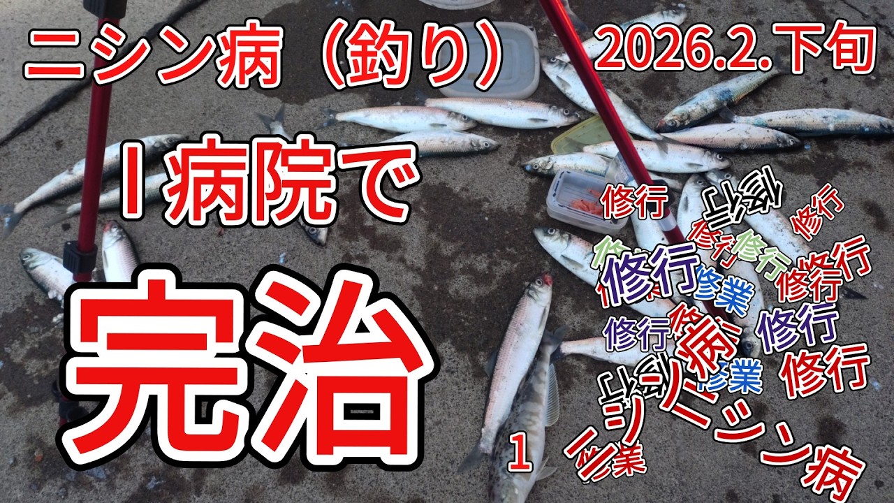 予期せず　ニシン病（ニシン釣り）完治　2026.2.下旬