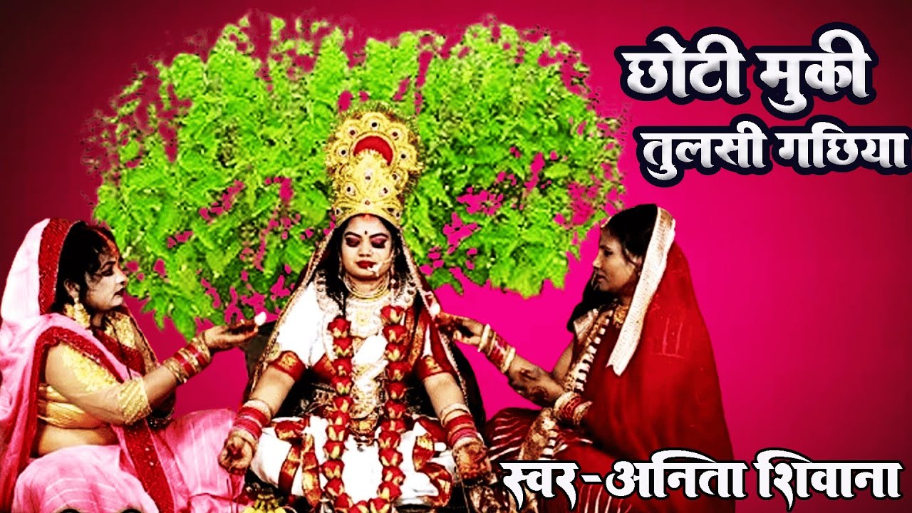 #video छोटी मुकी तुलसी के गाछीया Anita Shivani तुलसी मैया गीत Pooja Prem bhakti 2024