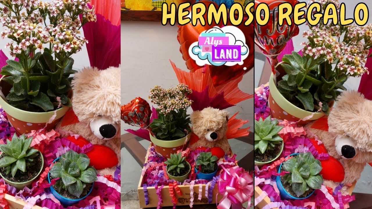 REGALO para 💗 AMOR Y AMISTAD SAN VALENTÍN, DÍA DE LOS ENAMORADOS 14 DE FEBRERO con PLANTAS| AlysLand