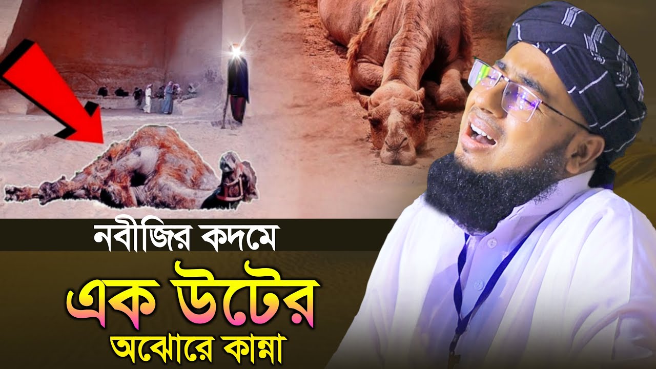 নবীজির কদমে এক উটের অঝোরে কান্না | জহিরুল ইসলাম ফরিদী ওয়াজ |