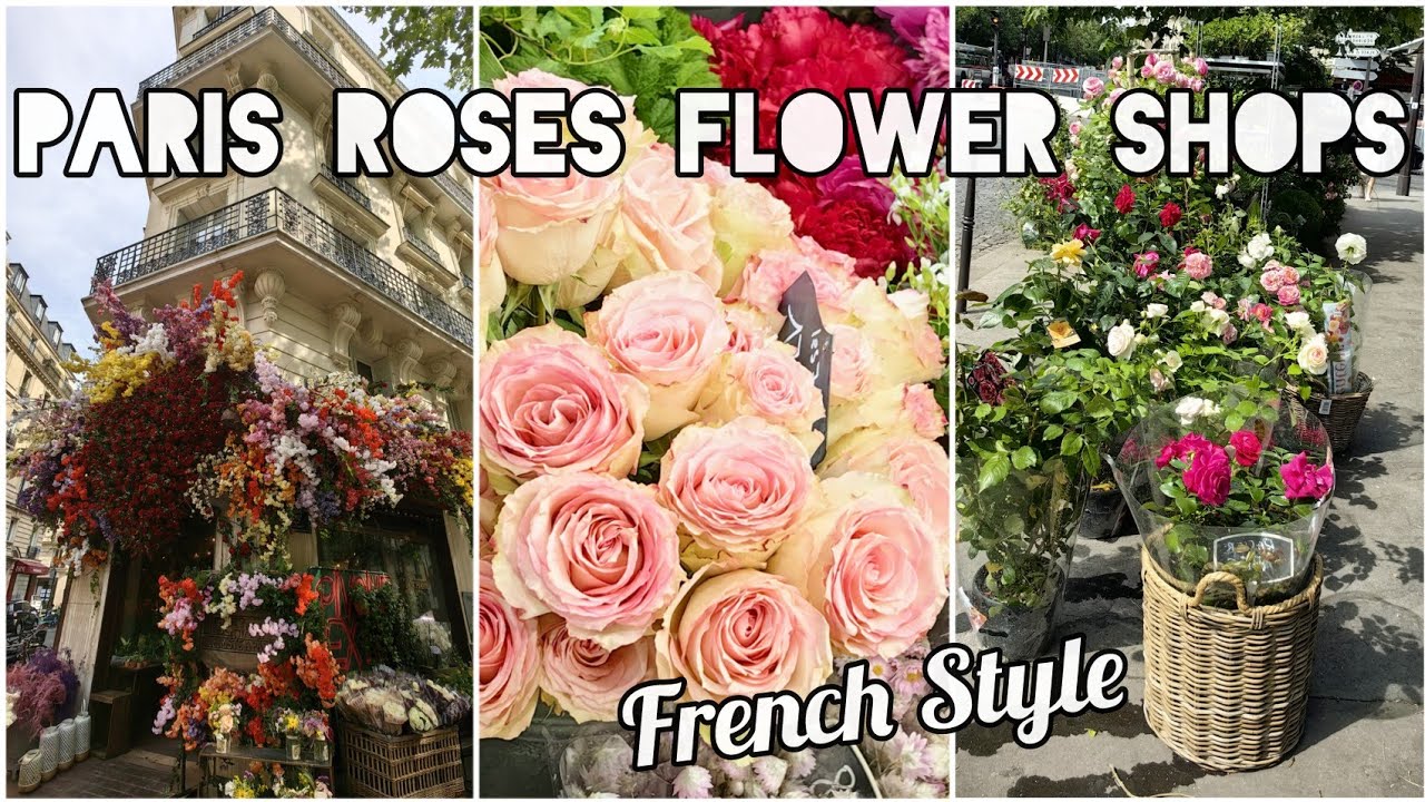 PARIS 🌹 ROSES interesting FLOWER SHOPS in FRANCE amazing FLORISTS & GARDEN VARIETY