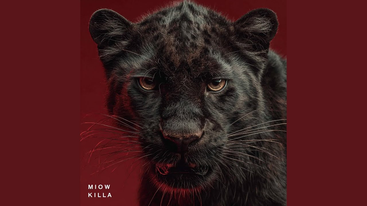 MIOW KILLA