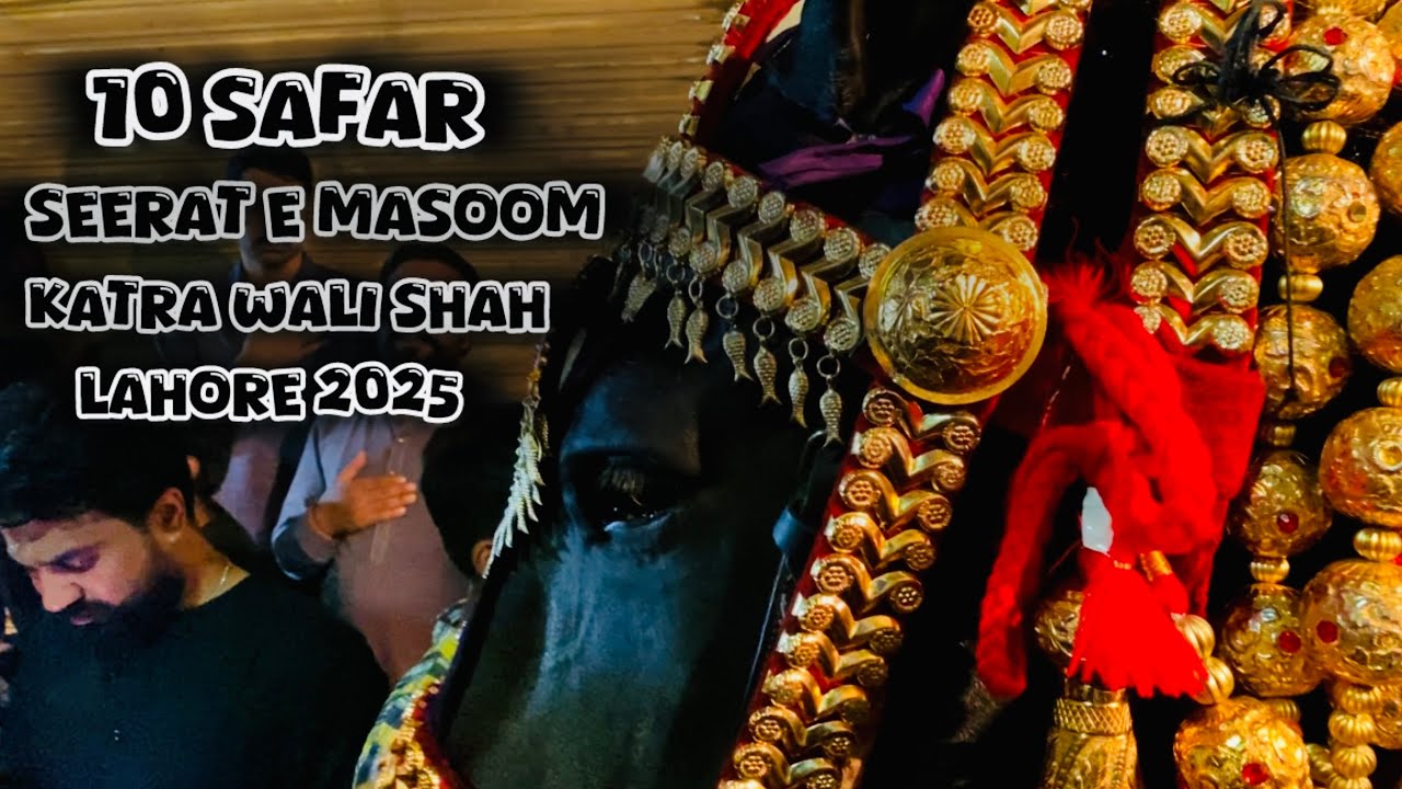 10 Safar | Zuljanah Seerat Masoom | Katra Wali Shah #mochi Gate Lahore 2025/-1447H #youtube 