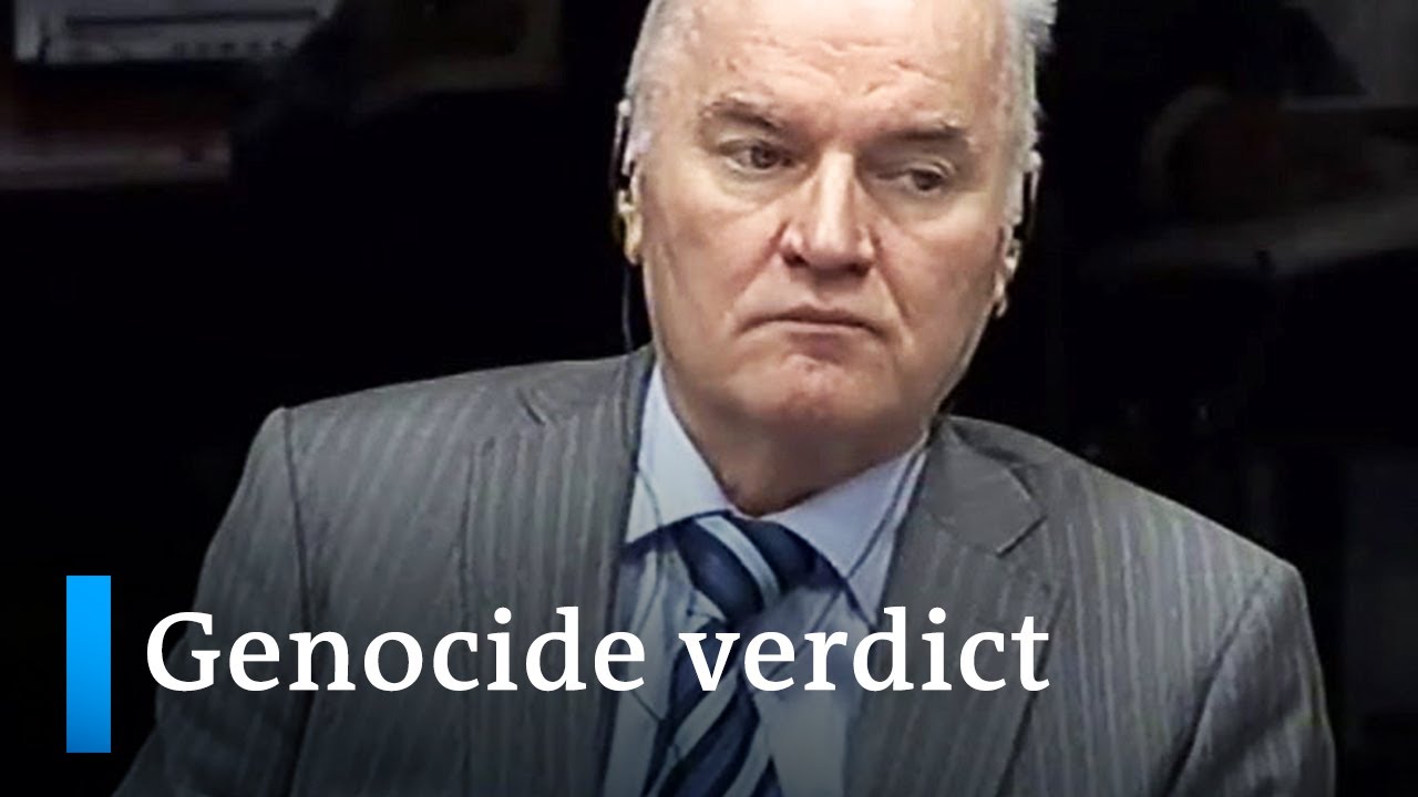 Appeal against genocide conviction: Mladic faces final verdict | DW News