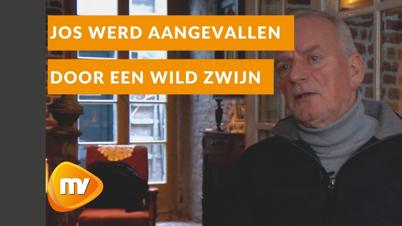 Jos is aangevallen door een wild zwijn: 'Hij bleef maar terugkomen'