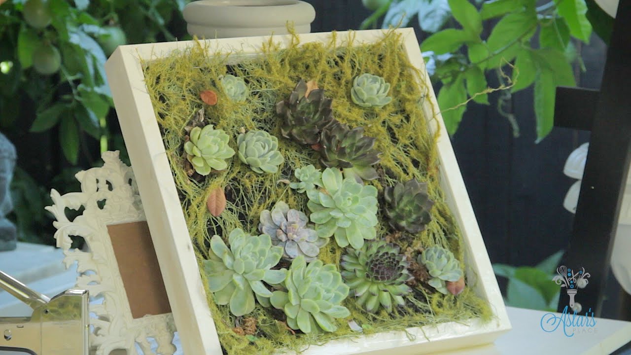 Succulent Hanging Wall Designs Floristry Tutorial