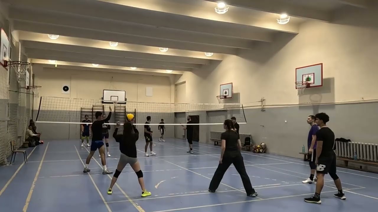 Volleyball hobby game