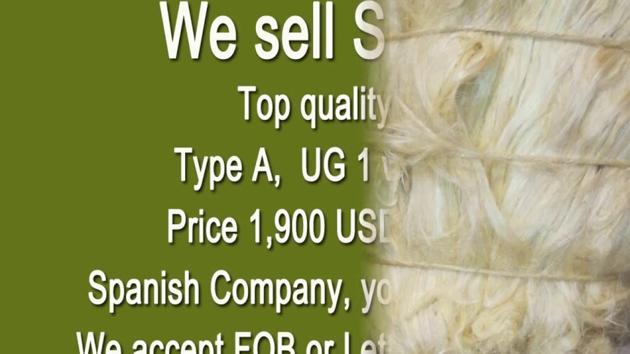 Sisal fibres