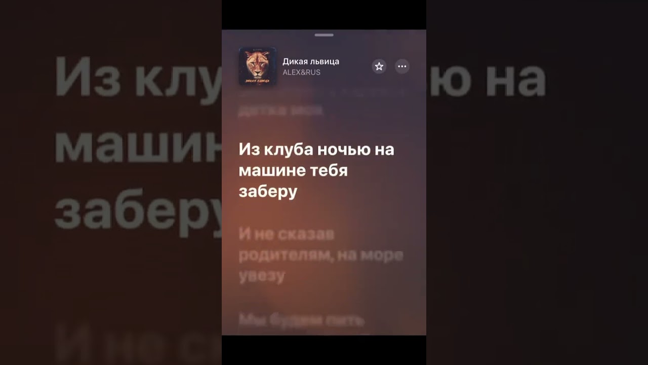 Дикая львица ,ты моя царица🤍   #дикаяльвица#рек#spotify#rus#кайрош#споцифай#рек#песни#музика