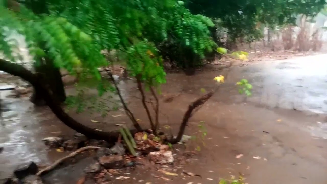 Rainy days in my village#rainydays#rainyseason