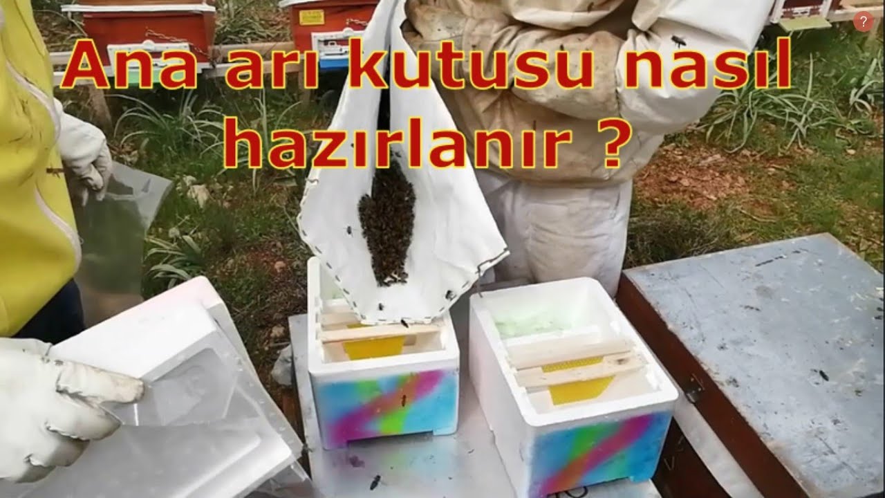 Как подготовить корпус для пчелиной матки? Как сделать перегородку.