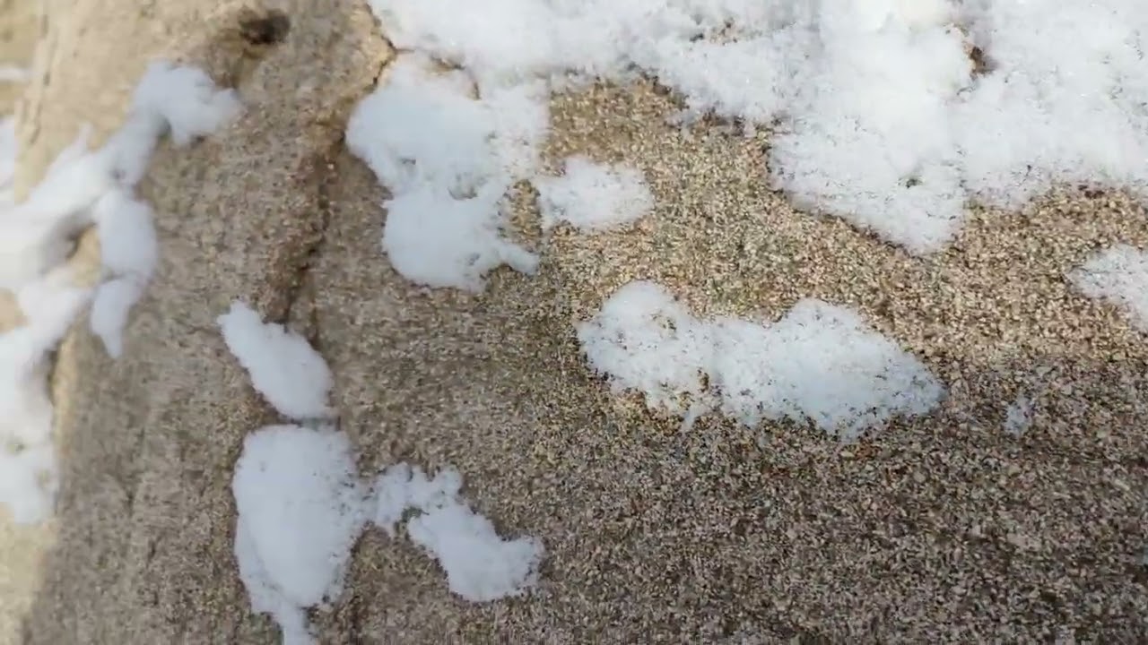 Nowiny (lubelskie) - Kamieniołom piaskowca.