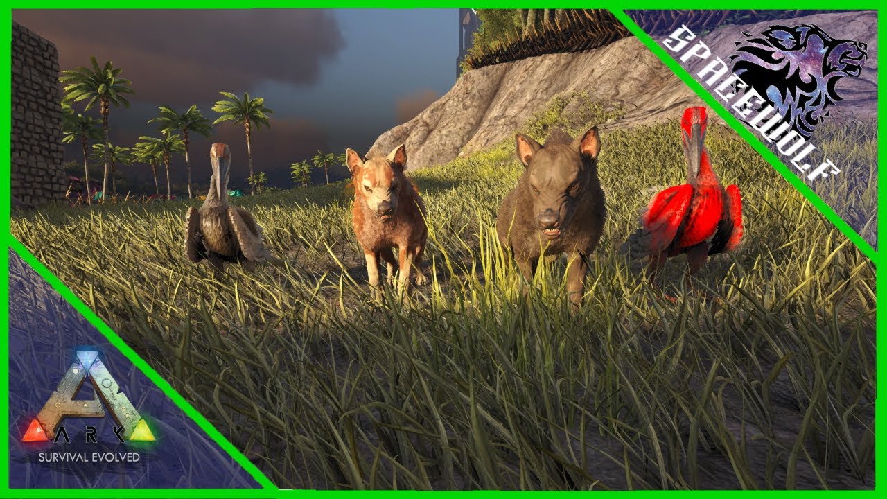 Ark Survival Evolved - The Island | #91 Alphabetical Taming Hyaenodon and Ichthyornis!