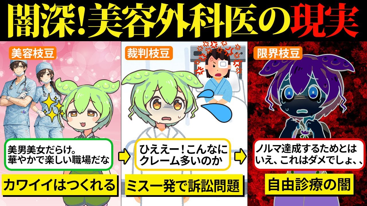 華やかな美の魔法使い。美容外科医になったけど、現実は泥臭くミスも許されない職人地獄だった【ずんだもん＆ゆっくり解説】