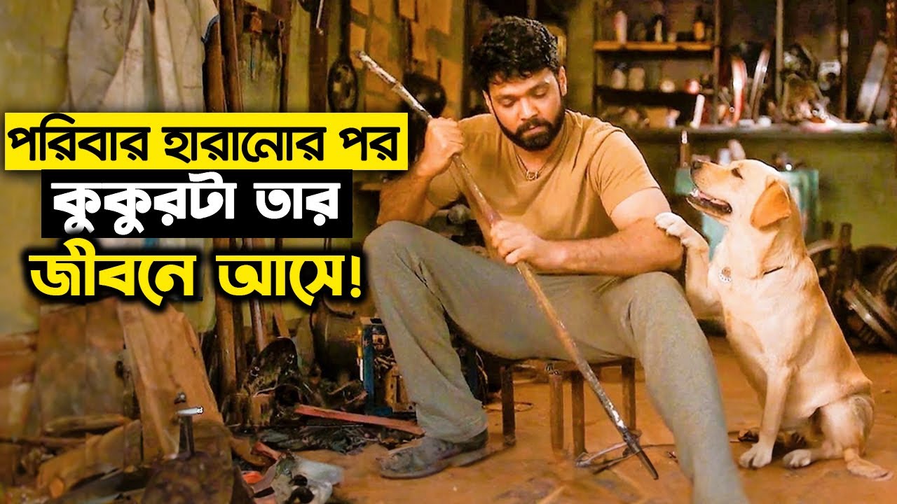 কুকুরটা ছেলেটাকে জীবনের মানে শিখিয়েছিল | অ্যাওয়ার্ড প্রাপ্ত মুভি -  kuhelika