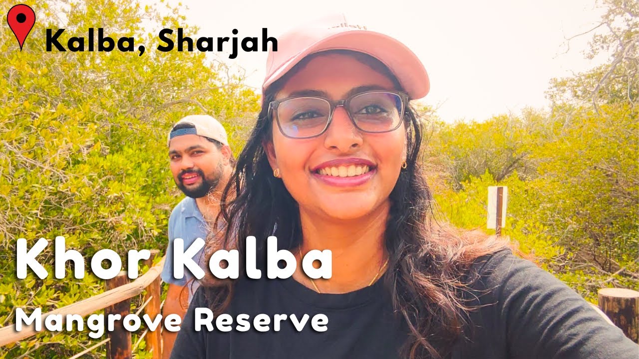 Beautiful Khor Kalba Mangrove( Complete Tour) | Sharjah