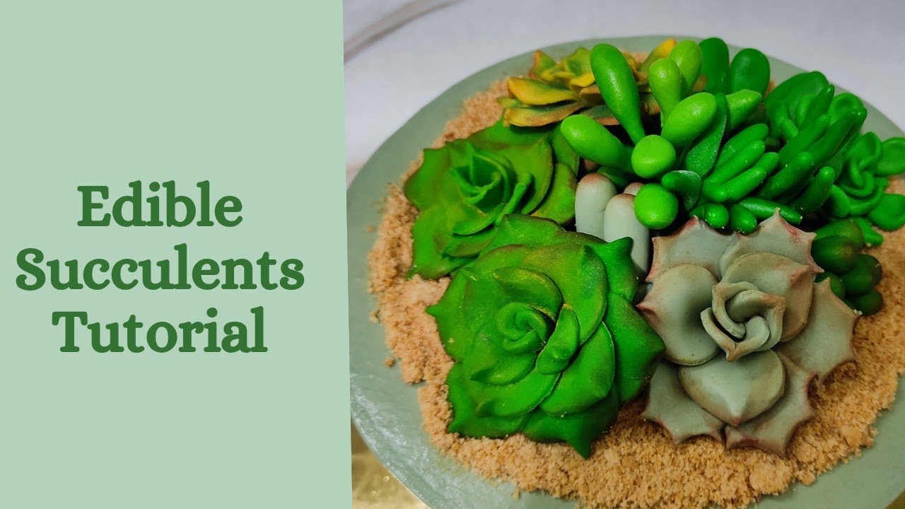 Edible succulent using fondant|tutorial on how to make succulents|Edible succulents for cakes|Ep:262