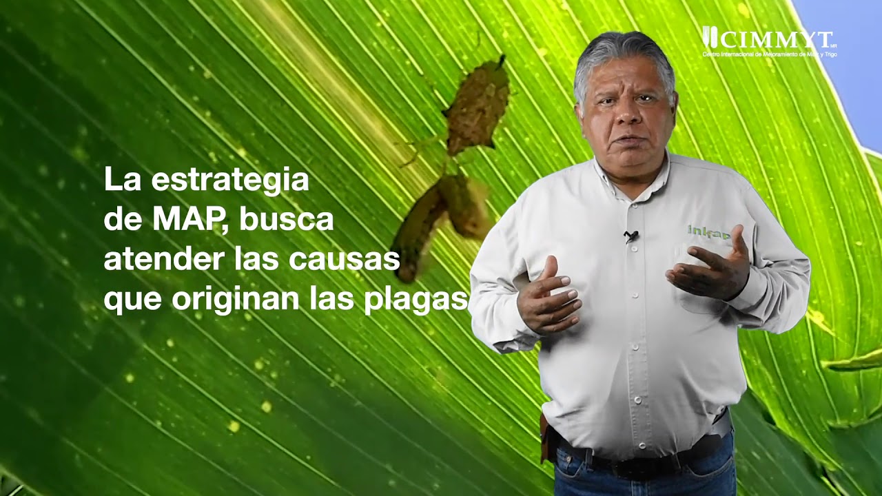 Las plagas y su origen