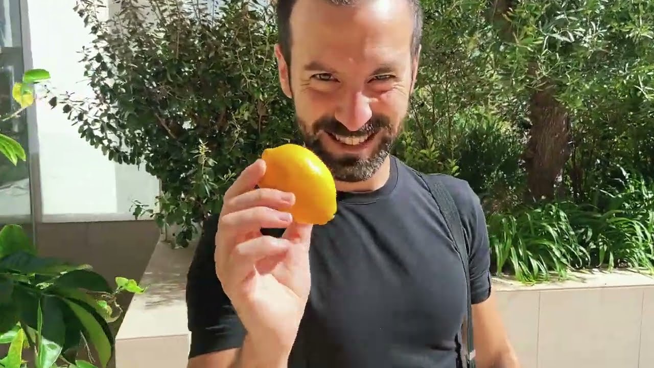 Bill to lemon