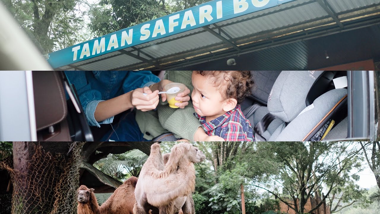 Ryu's first trip to Taman Safari Bogor