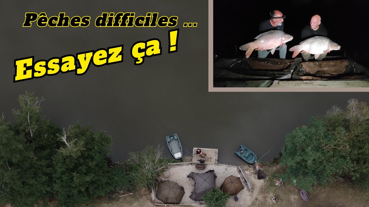 Nouvelle approche pour poissons éduqués !