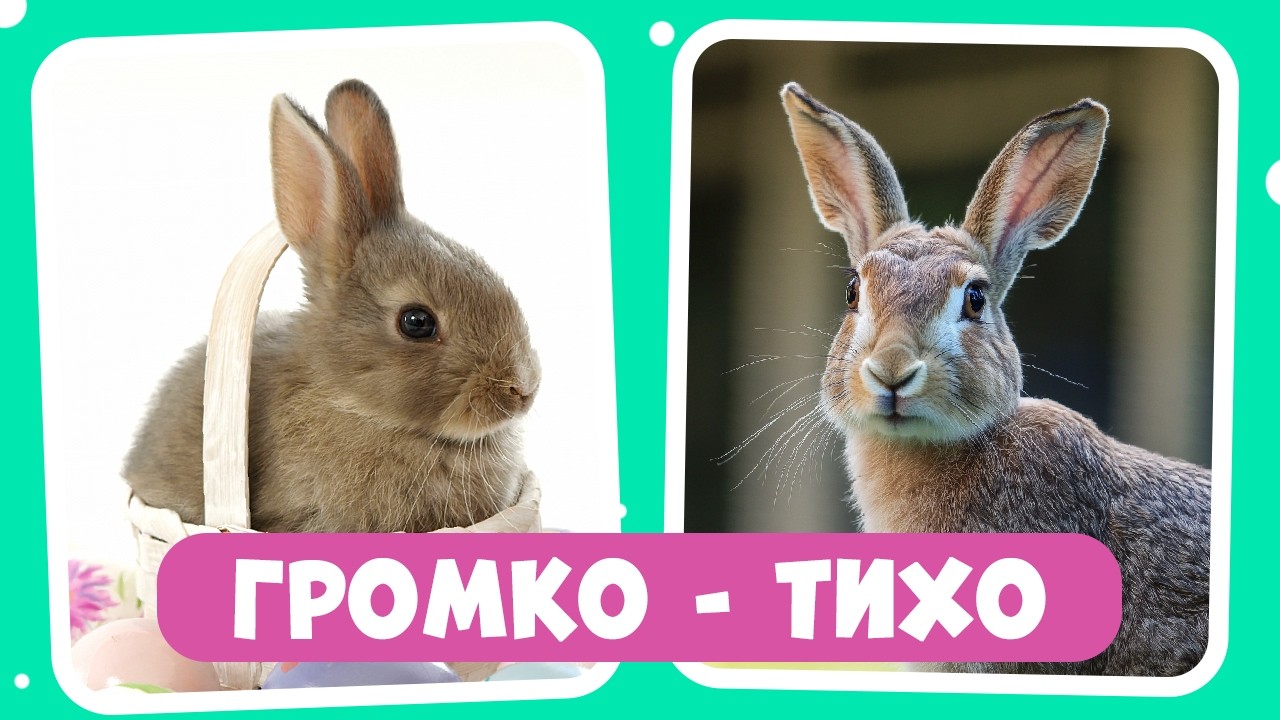 Запуск речи: учим говорить тихо и громко! Игровое занятие с животными и предметами. Учимся говорить.