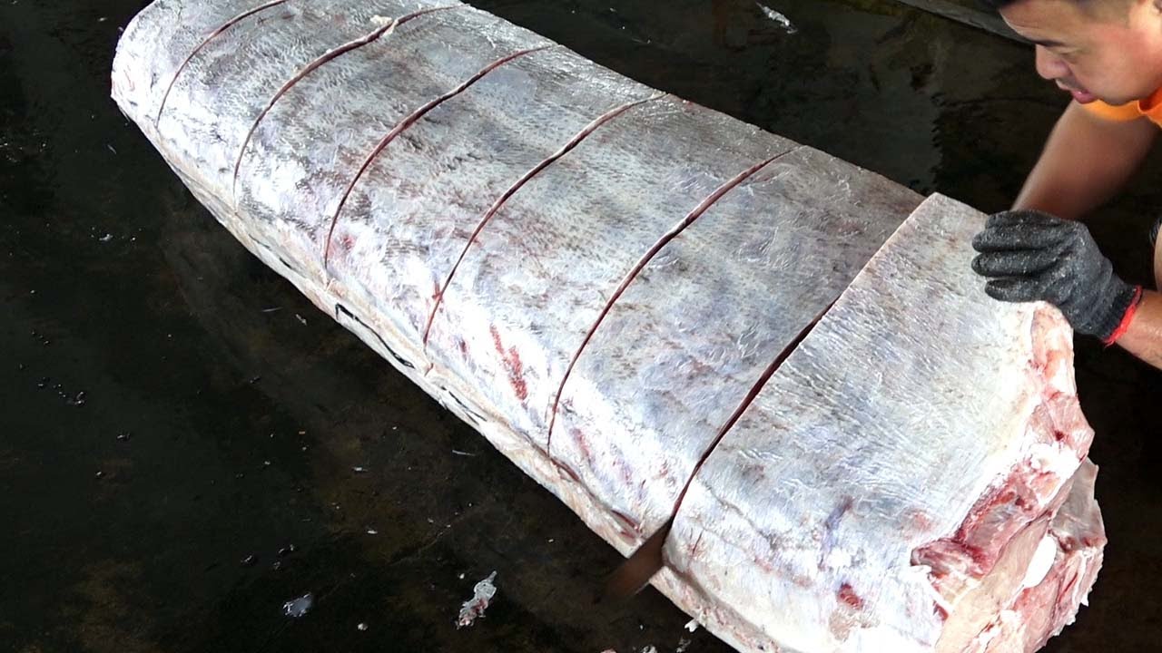 Cleaning and Filleting Swordfish for Sashimi/白油旗魚生魚片 - Taiwanese Street Food
