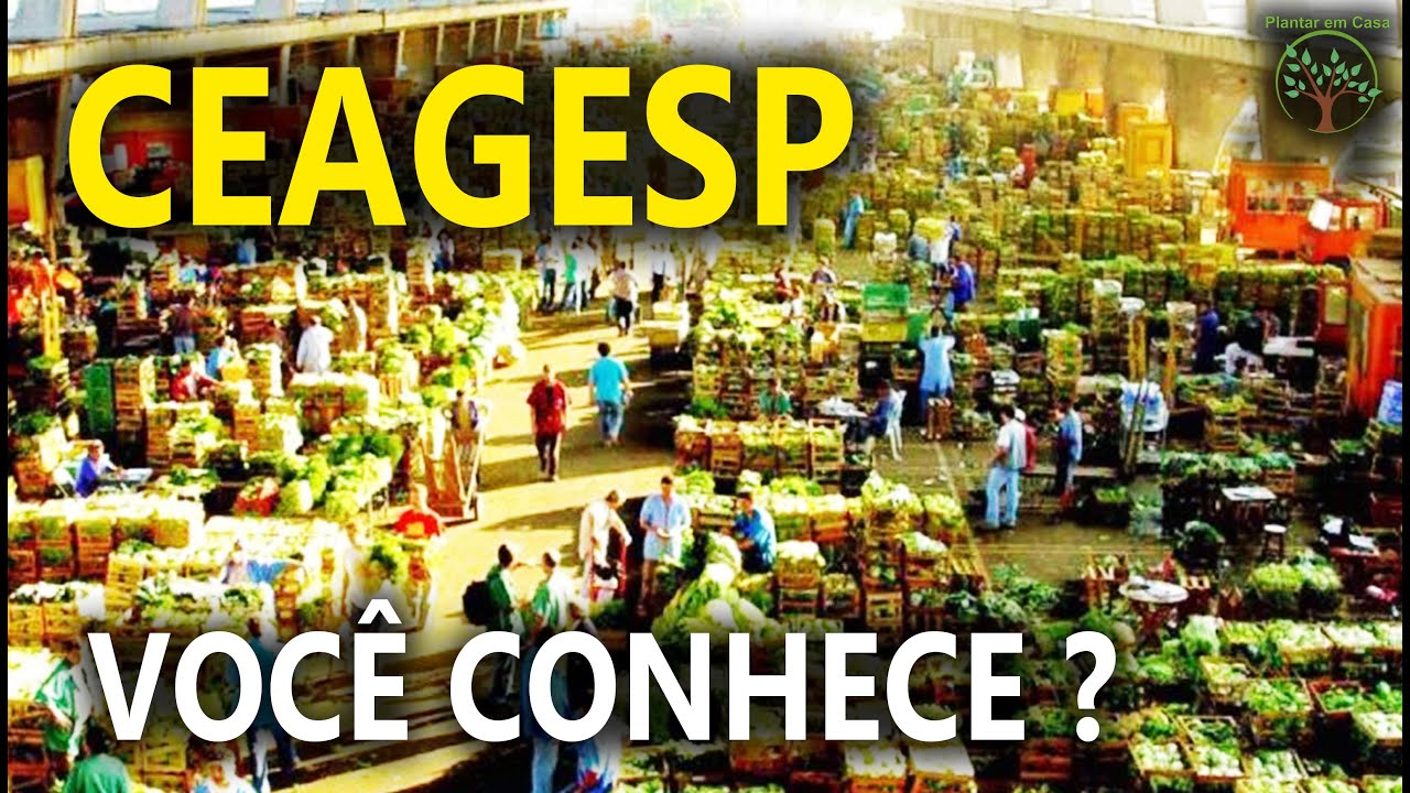 Ceagesp SP Voc&ecirc; Conhece ? Turismo de Frutas, Verduras, Plantas e outros