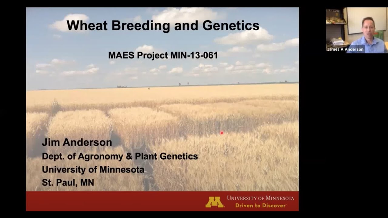 Wheat Breeding and Genetics - Dr. Jim Anderson - MAES Project seminar 2021