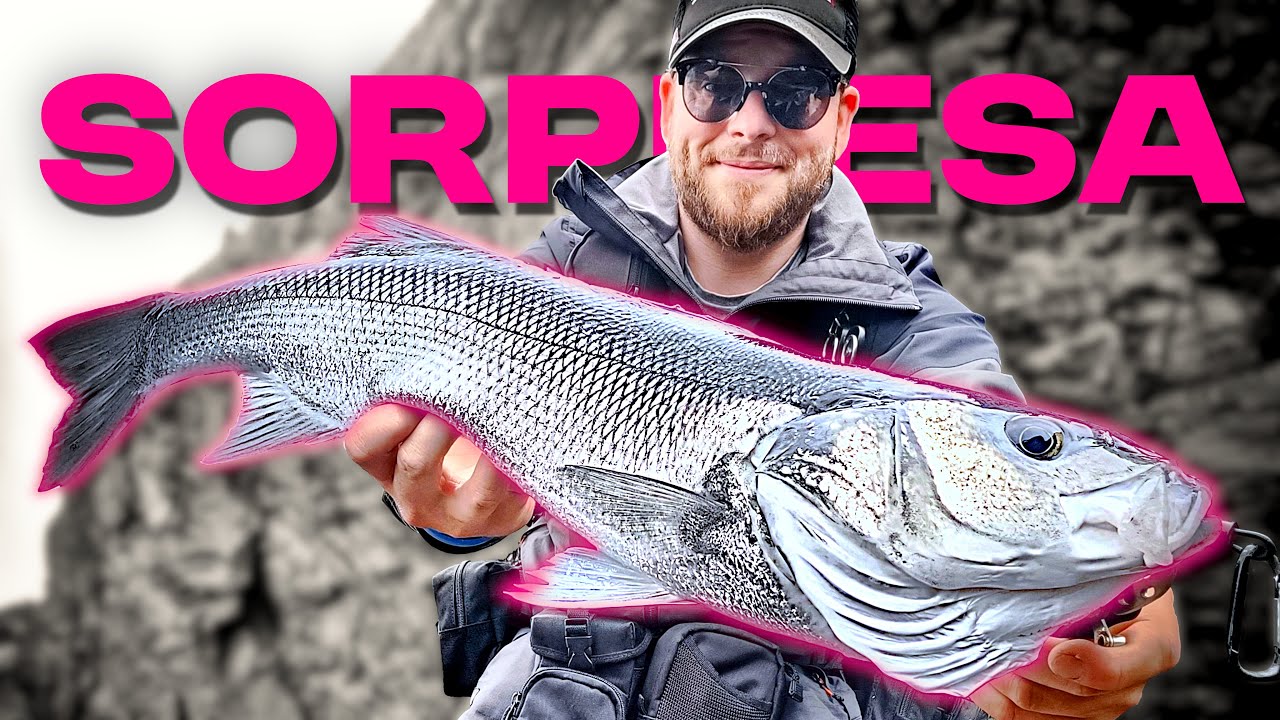 NUEVA ESPECIE: SPARIDAE Y MÁS PECES con la APIA Grandage BRUTE 