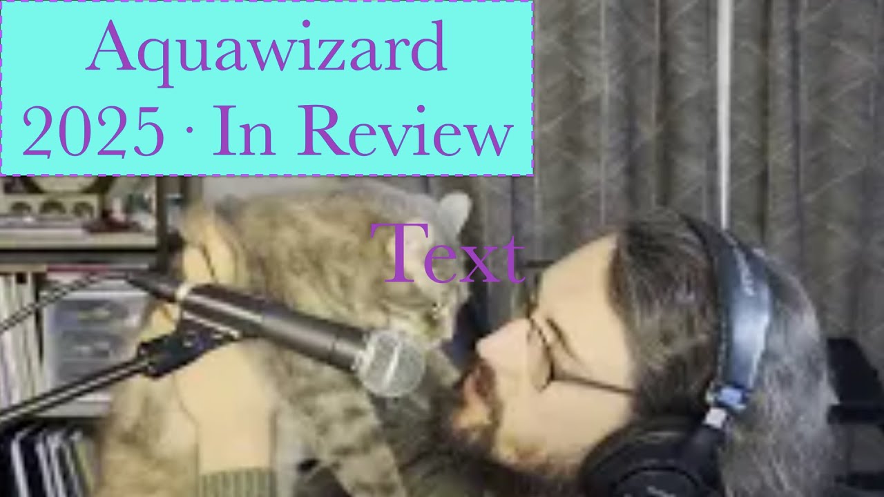 it's been an Aquawizard year · 2025 In Review · Feat. Clementine the Cat · Coffee and Cats Ep. 21