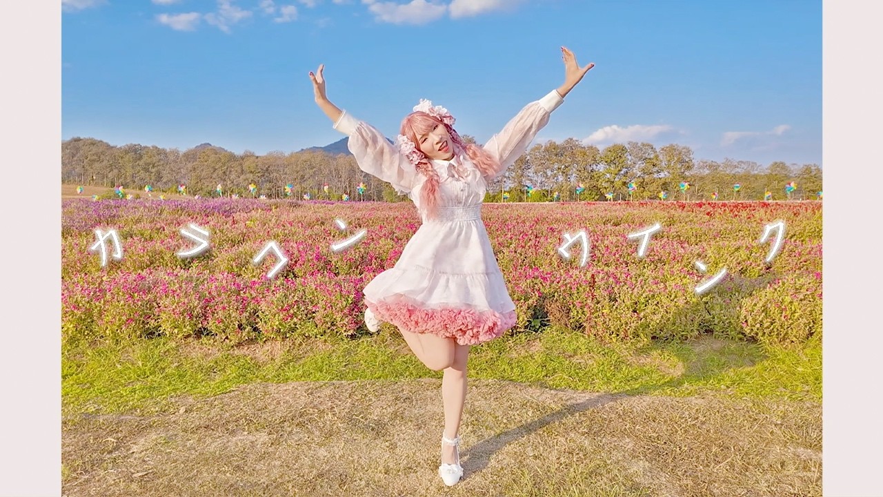 【踊ってみた】 カラコンウインク ♡(ෆ˙ᵕ˙ෆ)♡ 【Puppy-Zza】