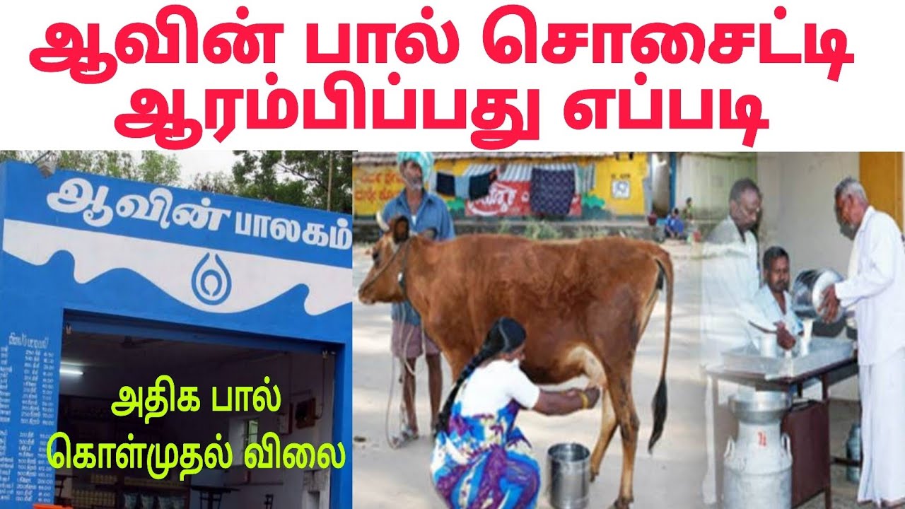Aavin business idea | Aavin cooperative society| How to start Aavin milk shop franchise ஆவின் பாலகம்
