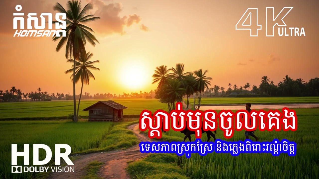 🌙 ភ្លេងបន្ធូរអារម្មណ៍ ដេកលក់ជ្រាលជ្រៅ – សម្លេងទន់ភ្លន់ សម្រាប់គេងសុខសាន្ត