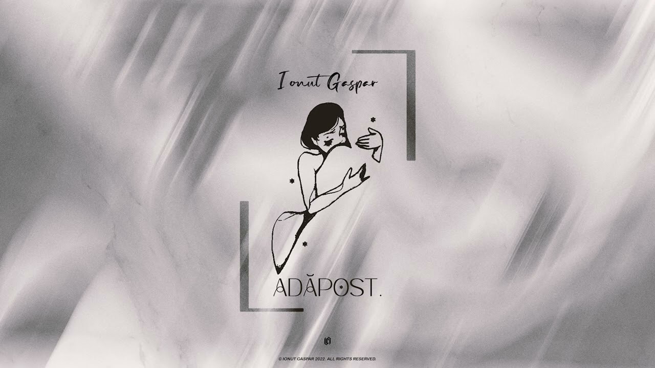IONUT GASPAR - ADAPOST