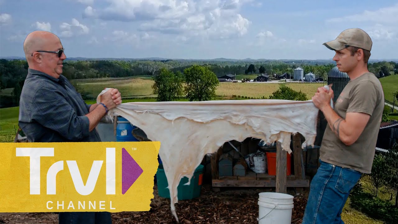 Andrew Tries Buckskin Tanning & Pig Brains | Bizarre Foods With Andrew Zimmern | Travel Channel