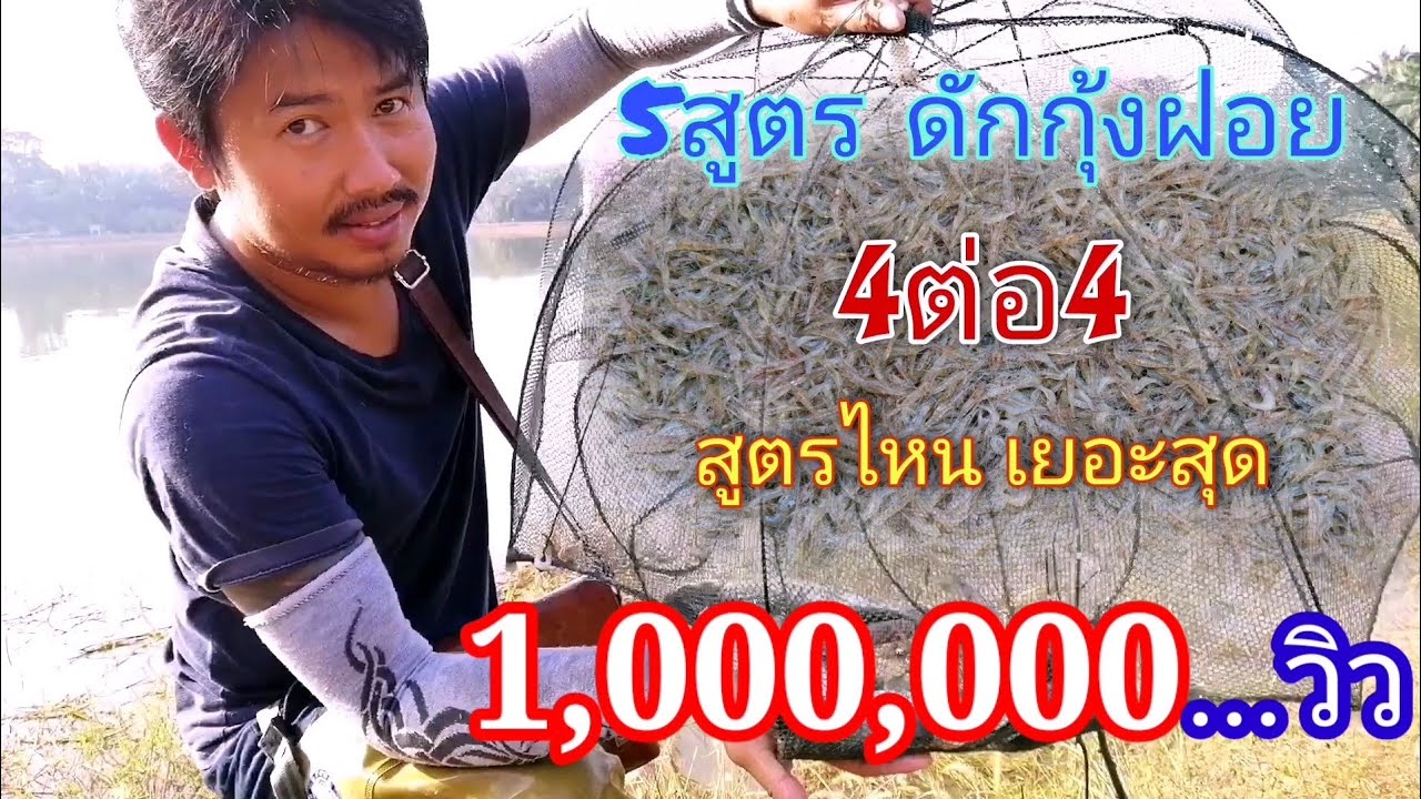 EP.31 5สูตร ดักกุ้งฝอย 4ต่อ4..วัดกันไปเลย ว่าสูตรไหนเข้าเยอะสุด