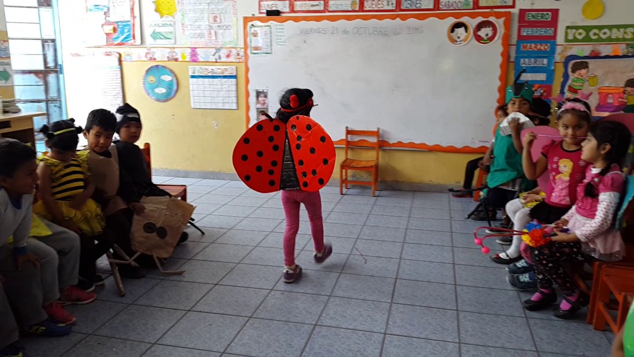 Desfile de trajes de insectos