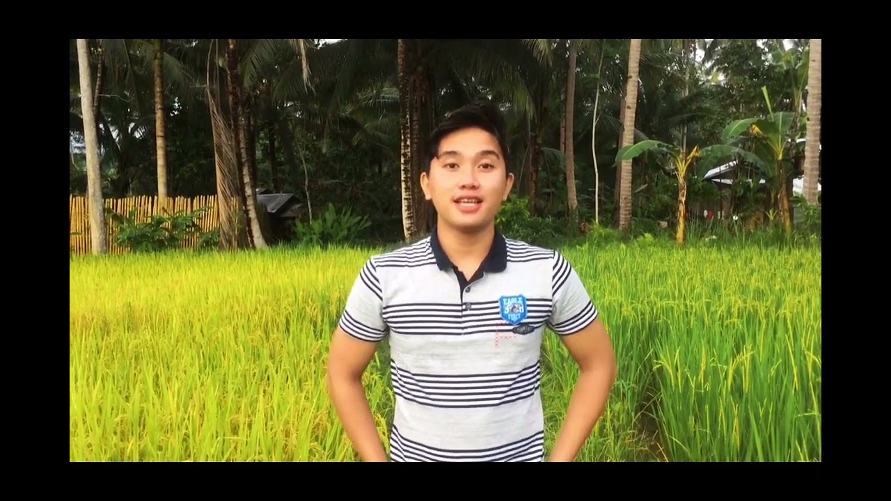POST HARVEST HANDLING AND SEED TECHNOLOGY (PHT1 AB1)/ Rino Miones