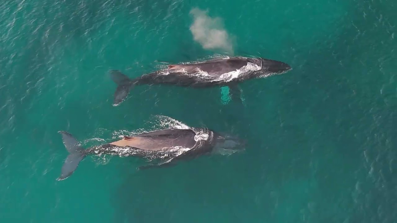 Sunset cruise with Raggy Charters