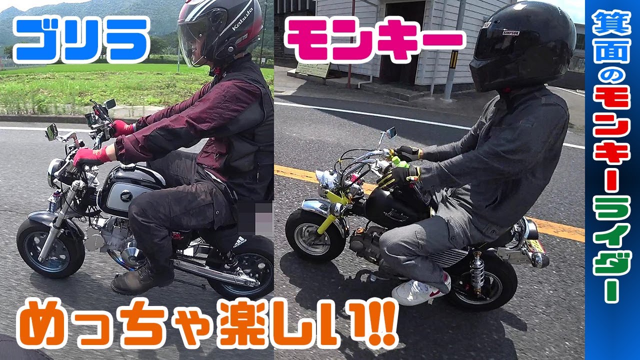 めっちゃ楽しいゴリラとモンキーのツーリング【4miniカスタムバイク】