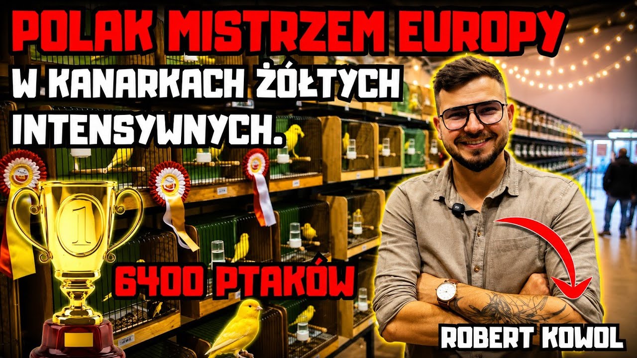 POLAK MISTRZEM EUROPY W KANARKACH.  Robert Kowol - wywiad z hodowcą .