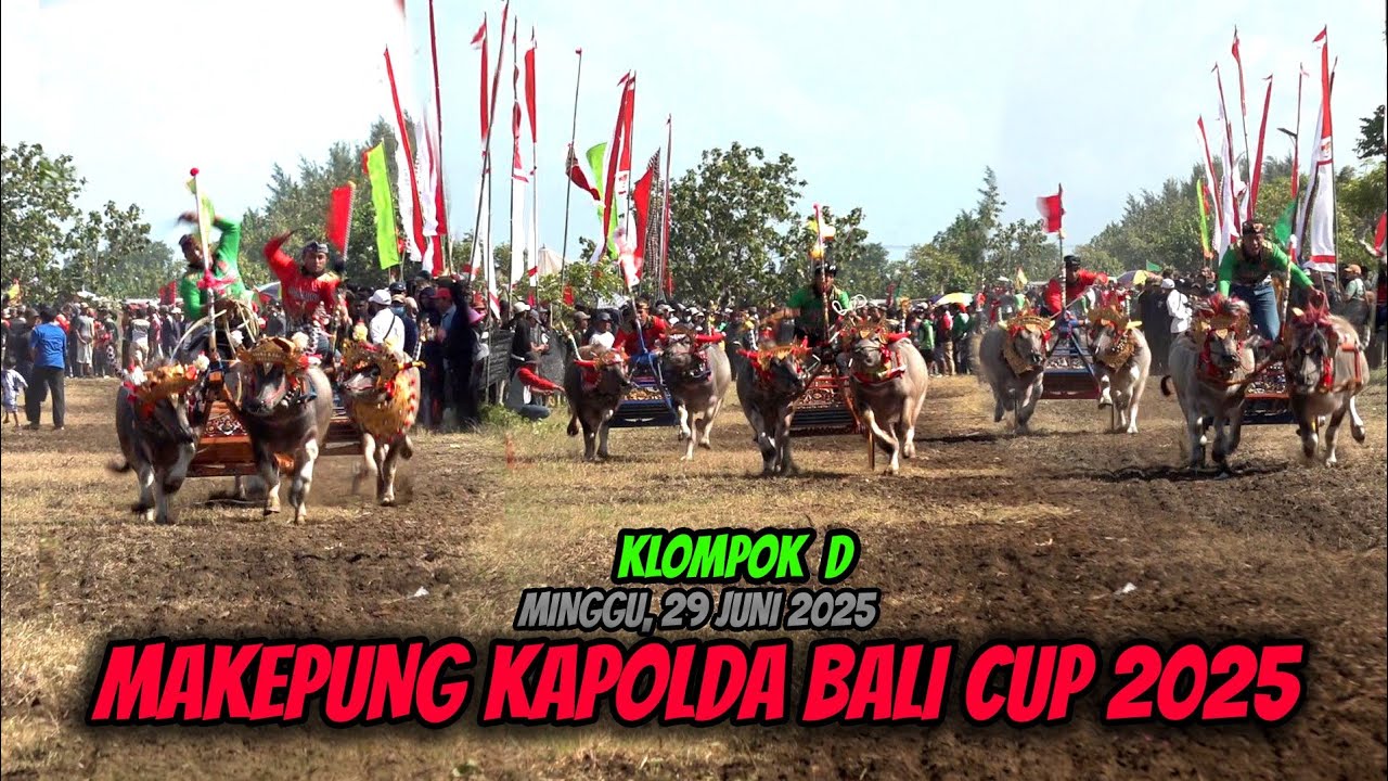 MAKEPUNG KAPOLDA BALI CUP 2025,KLOMPOK D