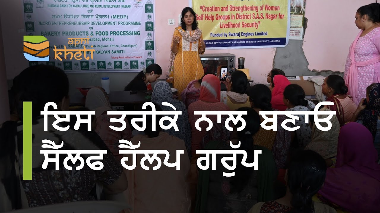 ਸੈਲਫ ਹੈਲਪ ਗਰੁੱਪ ਰਜਿਸਟਰਡ ਕਰਵਾਉਣ ਦਾ ਤਰੀਕਾ ਅਤੇ ਫਾਇਦੇ  I Self Help Group Registration Process